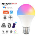 Smart Light Bulbs Dimmable RGB Magic Led Lamp